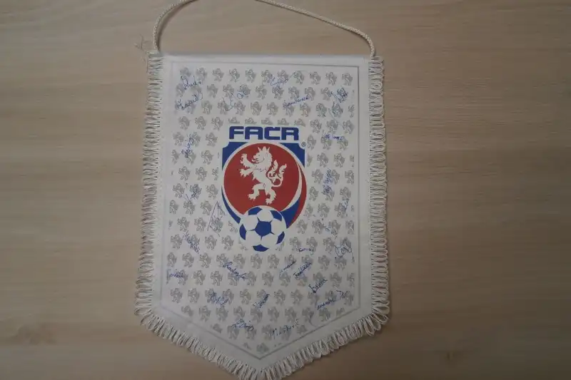 Fotbalová reprezentace